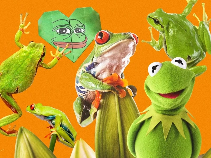 Ngắm nhìn vẻ đẹp frog meme biểu cảm