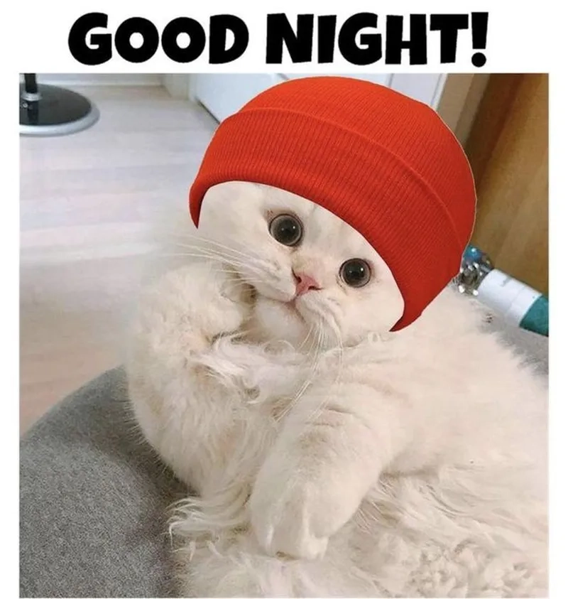 Tìm hiểu Lý do good night meme được yêu thích