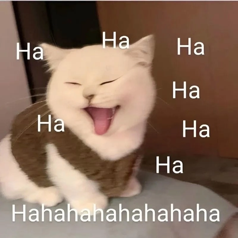 Săn lùng những khoảnh khắc ảnh haha meme