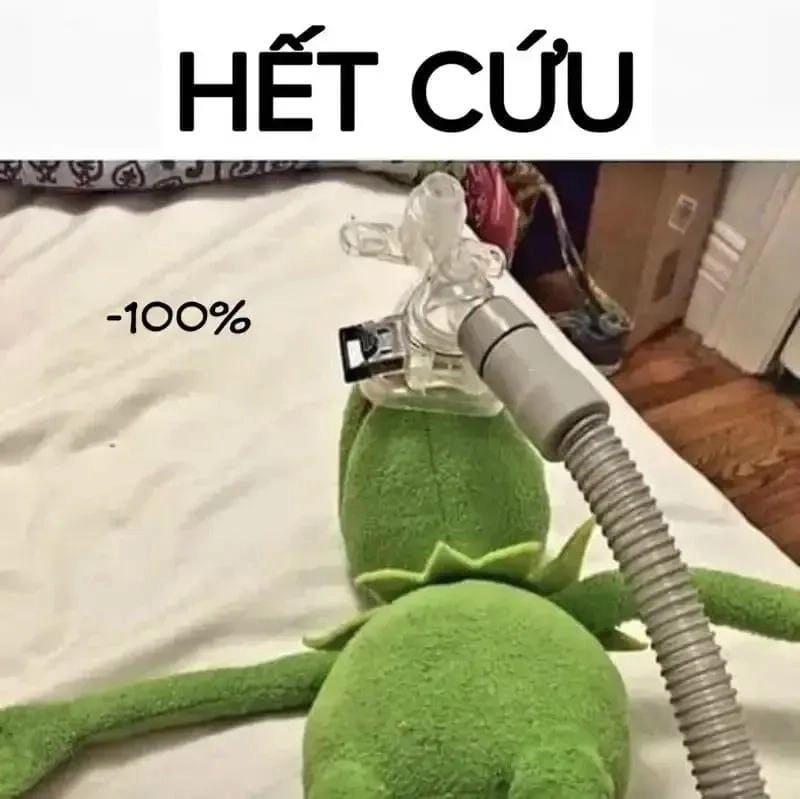 Săn lùng những khoảnh khắc hết cứu nổi meme troll