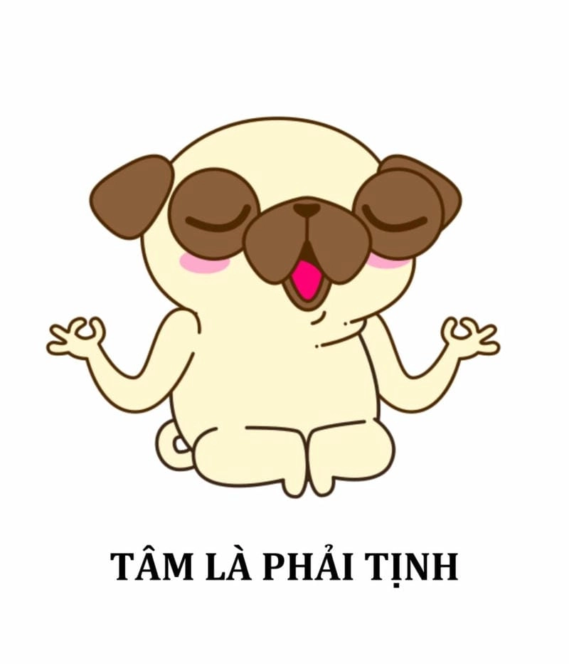 Khám phá những bức hình meme hài hước