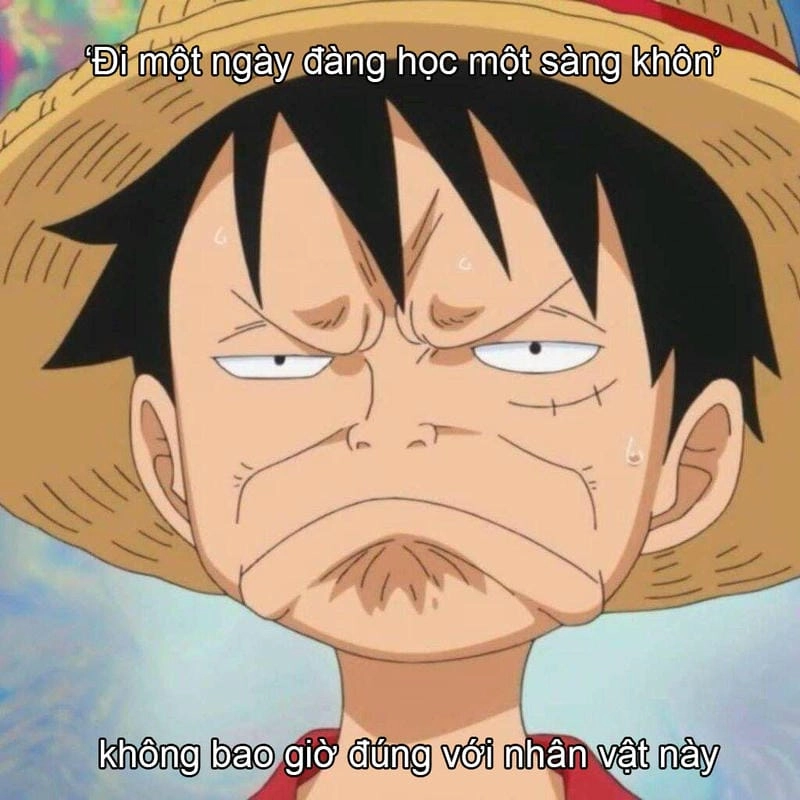 Tìm về hình meme ngộ nghĩnh