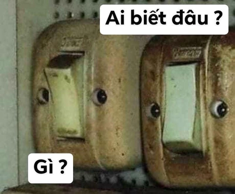 Tìm hiểu Lý do được yêu thích rộng rãi