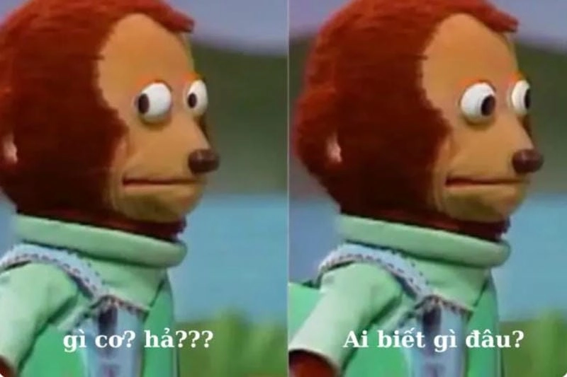 Tìm về meme ai biết gì đâu vui nhộn