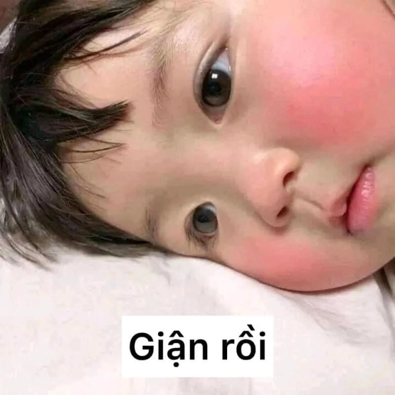 Khám phá những bức meme ảnh em bé cute hài hước