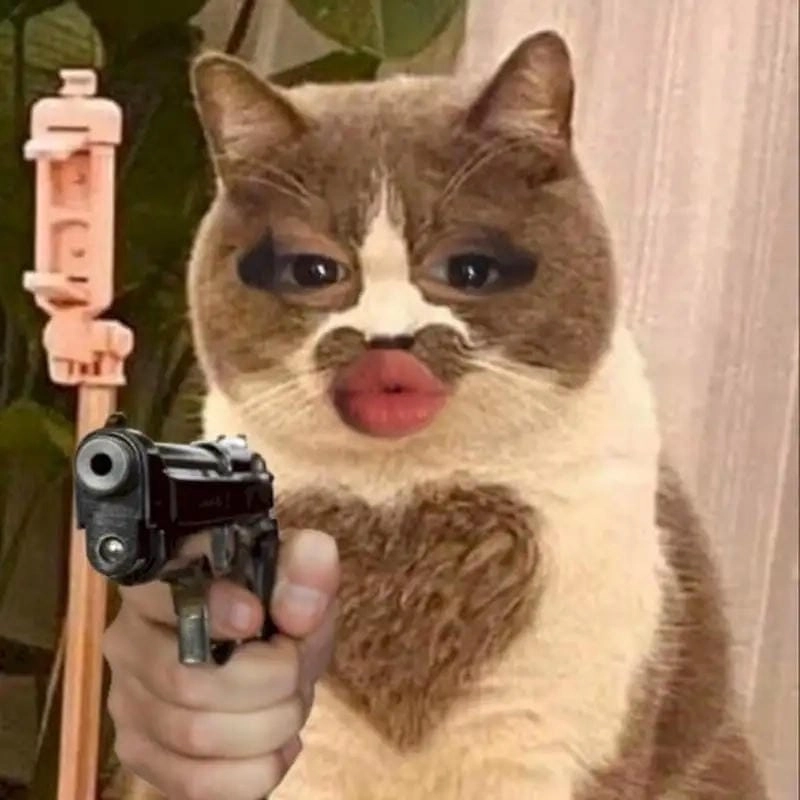 Lạc lối trong thế giới meme bắn súng ngầu
