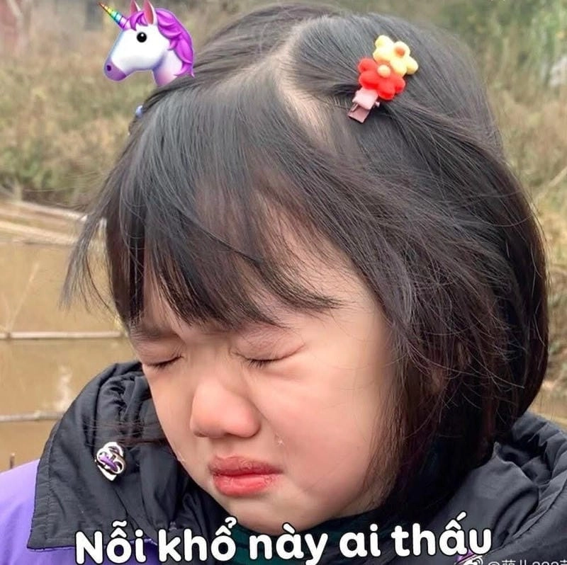 Cùng du ngoạn meme bất lực bá đạo