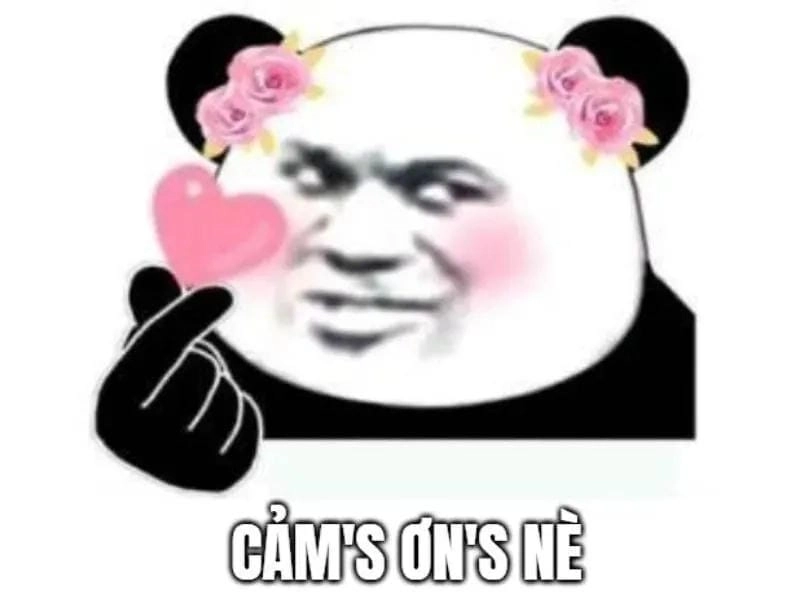 Cùng cười với những hình meme cảm ơn dễ thương