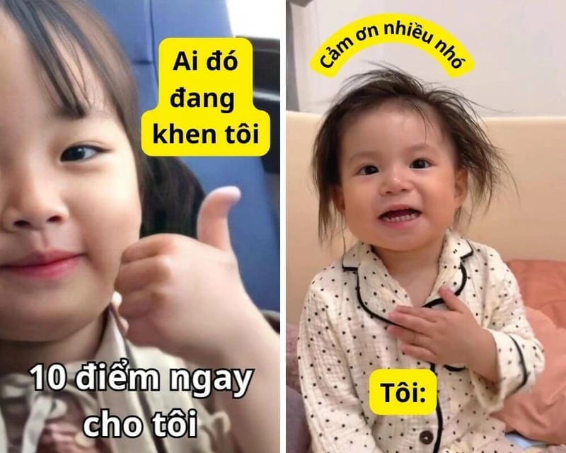 Gợi ý những bức meme cảm ơn troll