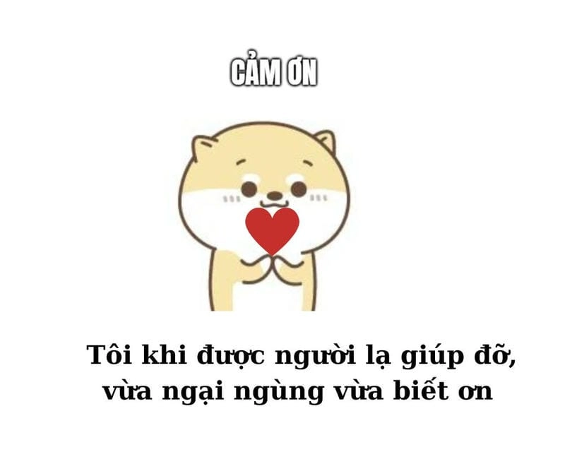 Cùng du ngoạn meme cảm ơn chế