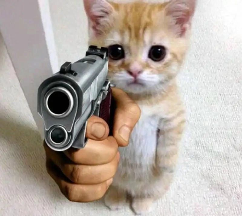 Khám phá những bức ảnh meme cầm súng ngầu