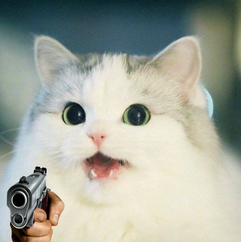 Cùng cười với những hình meme cầm súng hài hước