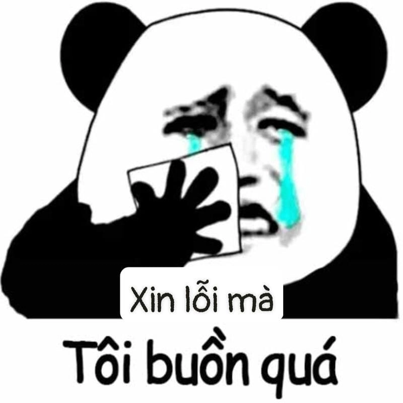 Gợi ý những bức meme cầu xin biểu cảm