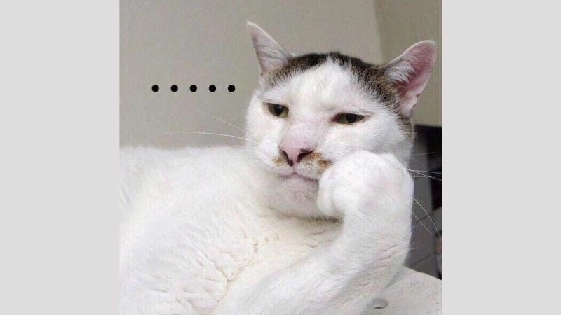 Cùng cười với những hình meme chán vui nhộn