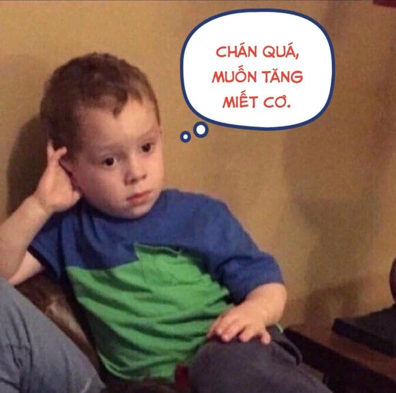 Lạc lối trong thế giới meme chán đáng yêu