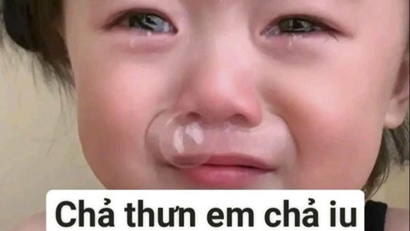 Tìm hiểu sức hút của meme chán