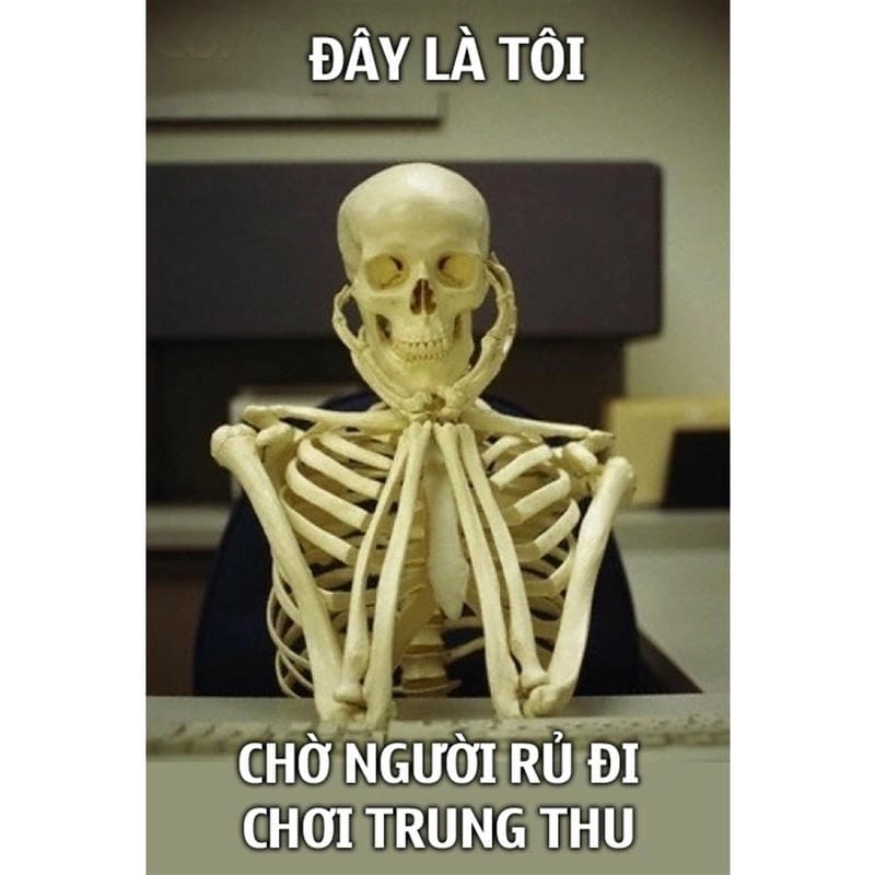 Tìm hiểu Lý do meme chờ đợi có sức lan tỏa mạnh mẽ