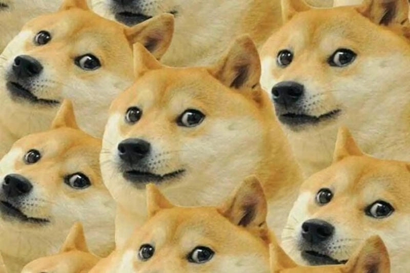 Tìm về meme chó ngộ nghĩnh