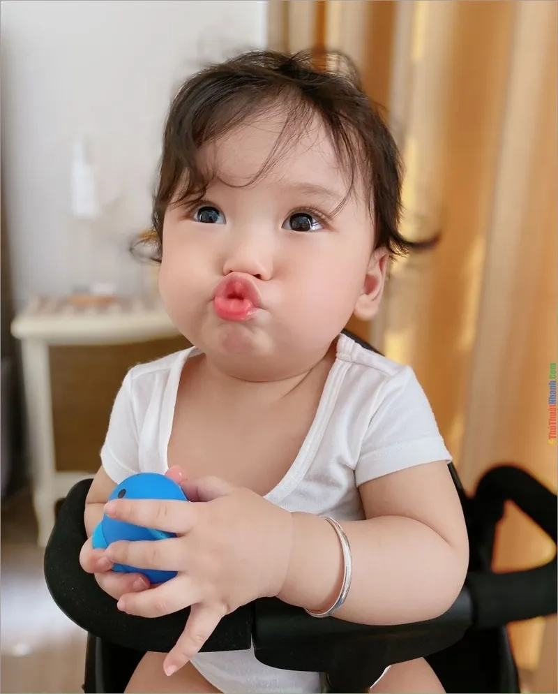 Lạc lối trong thế giới ảnh meme chu mỏ