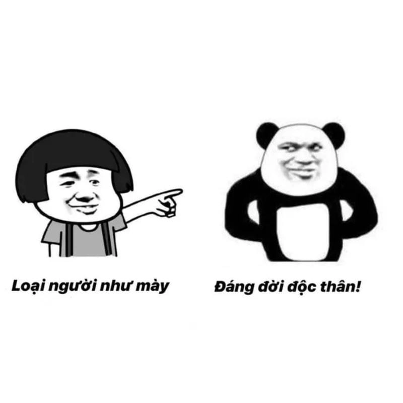 Cùng du ngoạn meme chửi đời sống