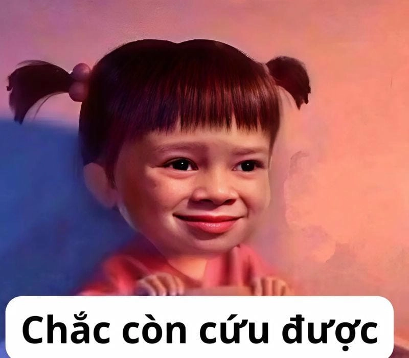 Khám phá những bức ảnh meme còn cứu được hài hước