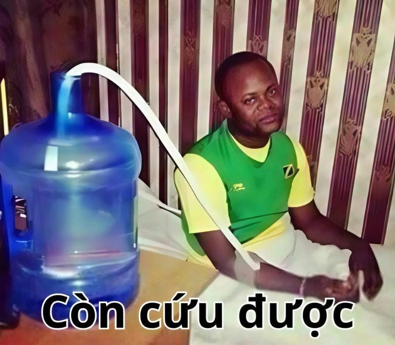 Tìm hiểu Lý do meme còn cứu được lan truyền nhanh chóng