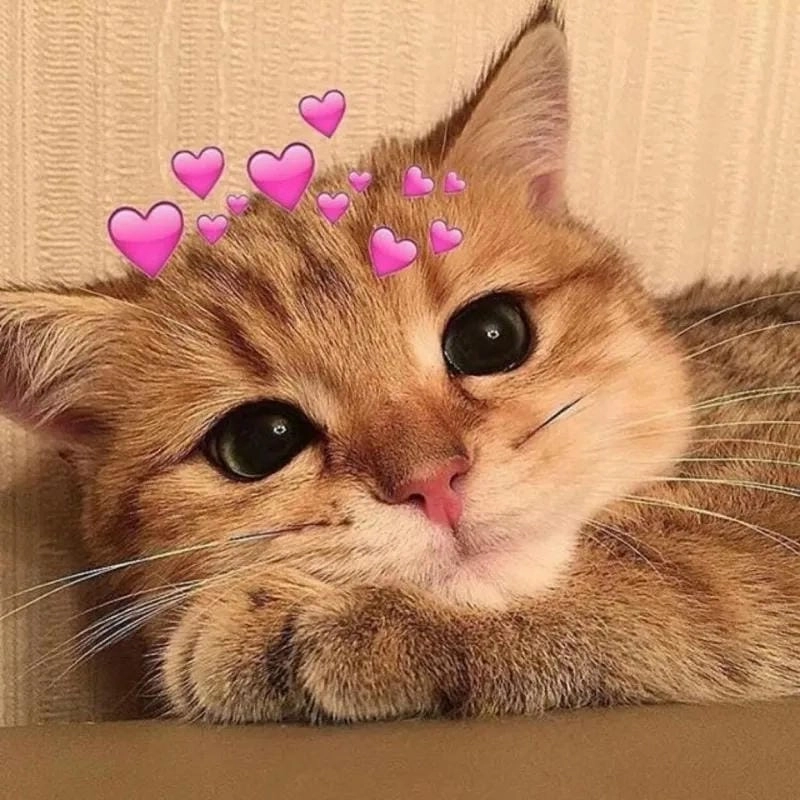 Tìm về meme cute đáng yêu nhất