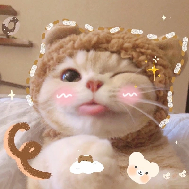 Cùng du ngoạn meme đáng yêu động vật