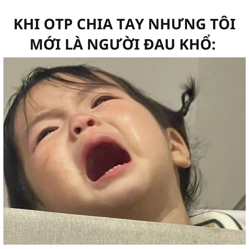 Khám phá những bức meme đau khổ