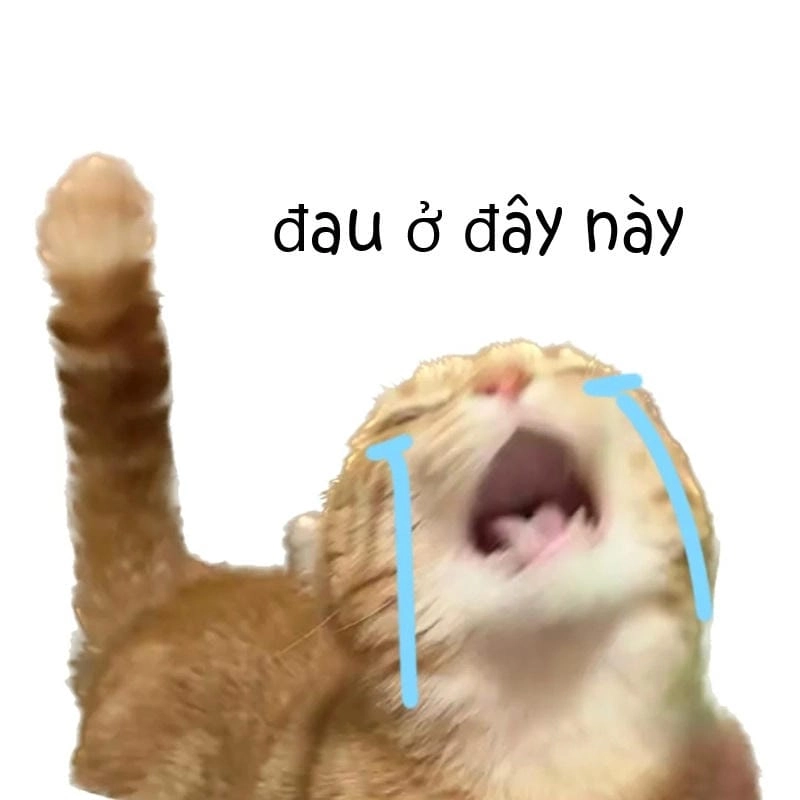 Tìm hiểu Sức hút của meme đau ở đây này