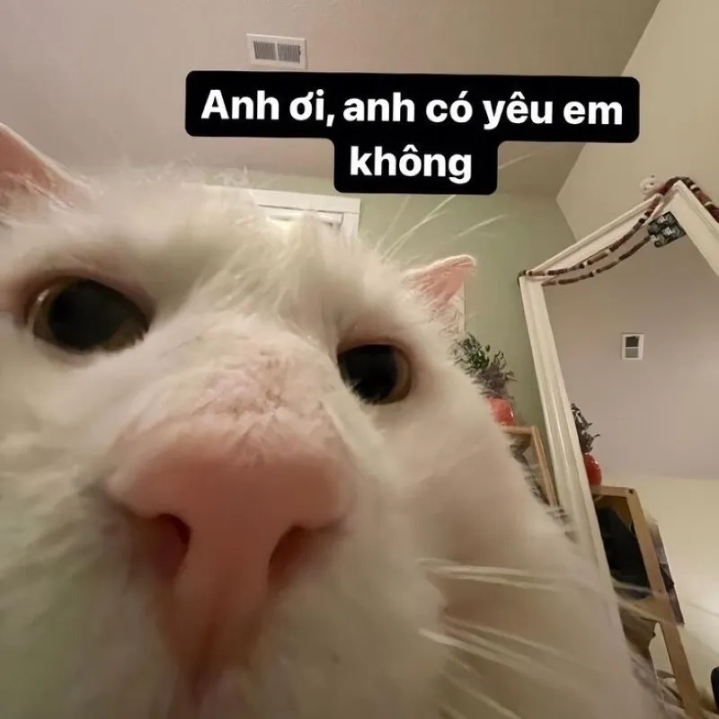 Tìm về meme dỗ người yêu buồn cười