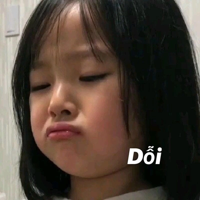 Khám phá những bức ảnh meme dỗi hài hước