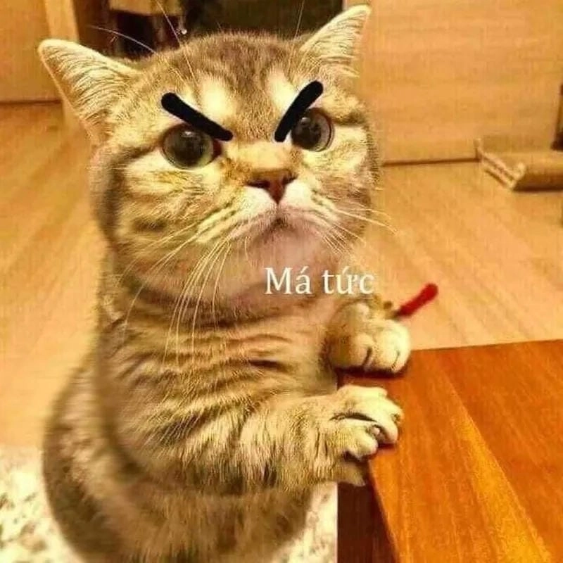 Cùng cười với những hình meme dỗi buồn cười