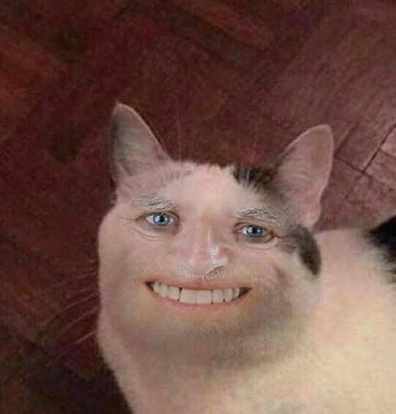 Khám phá những bức ảnh meme động vật hài hước