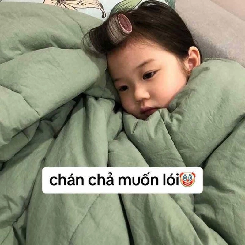 Tìm về meme em bé hay