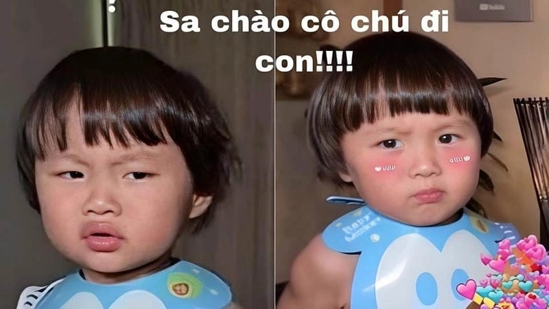 Cùng du ngoạn meme em bé đời sống