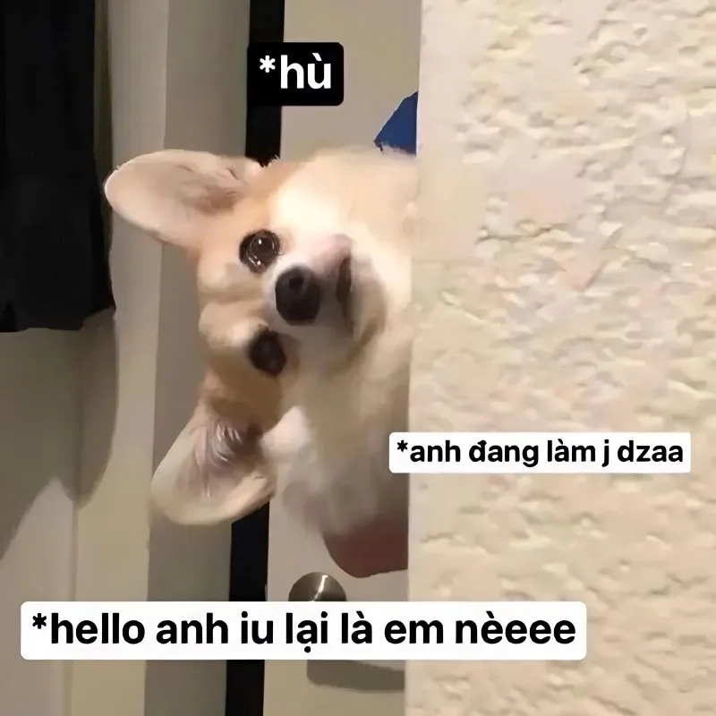 Gợi ý những bức meme funny chế