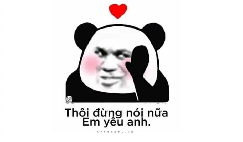 Lạc lối trong meme gấu trúc hot trend