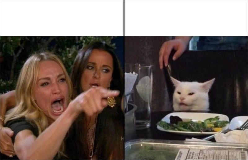 Thức dậy cùng những hình meme gốc viral