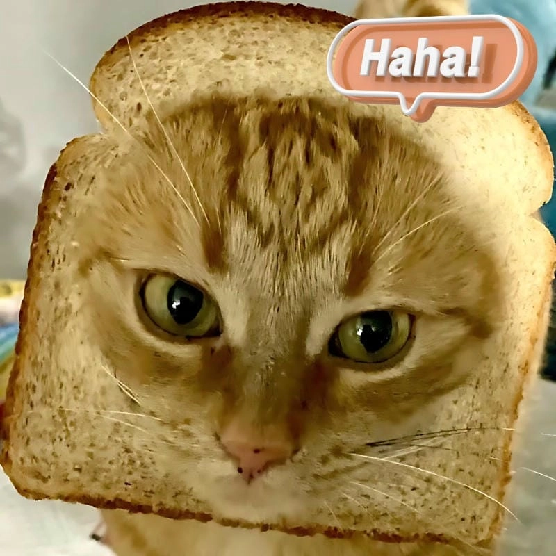 Gợi ý những bức meme haha cute