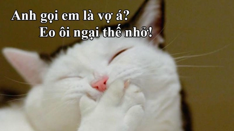 Săn lùng những khoảnh khắc meme hài bá đạo