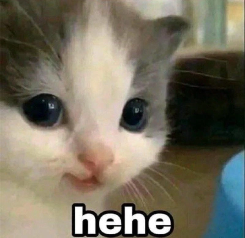 Lạc lối trong meme hehe cute