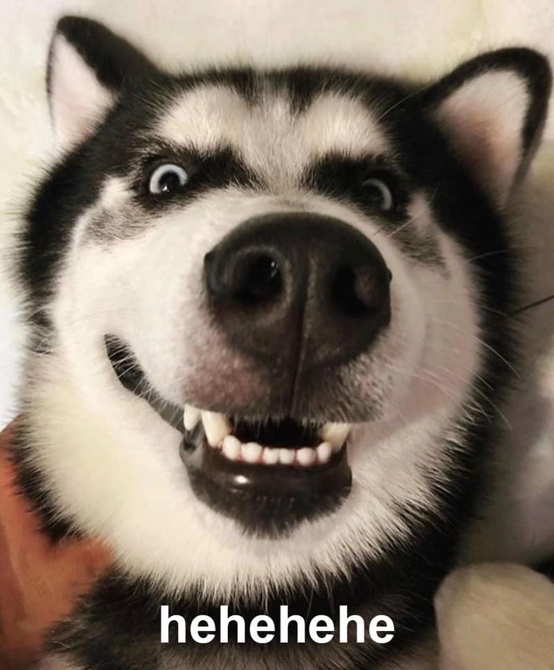 Tìm hiểu Sức hút của meme hehe
