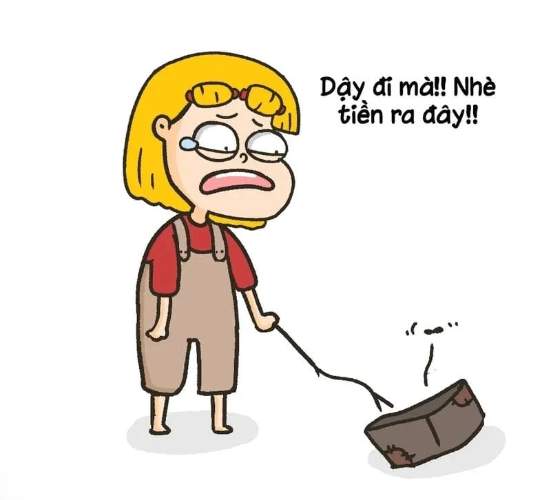 Khám phá những bức ảnh meme hết tiền hài hước