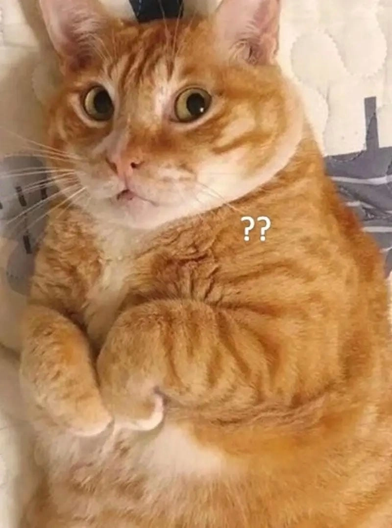 Cười sảng với meme hoang mang hot trend