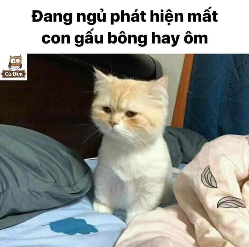 Ngắm nhìn vẻ đẹp meme hoang mang chế ảnh