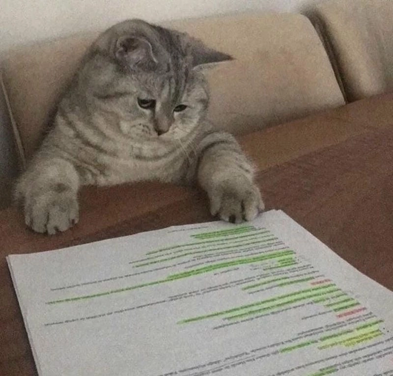 Tìm hiểu Sức hút của meme học bài