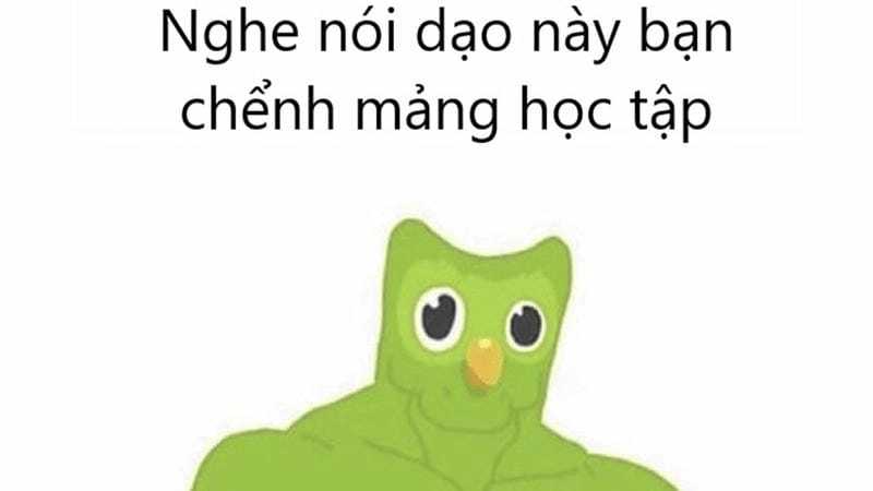 Săn lùng những khoảnh khắc ảnh meme học bài