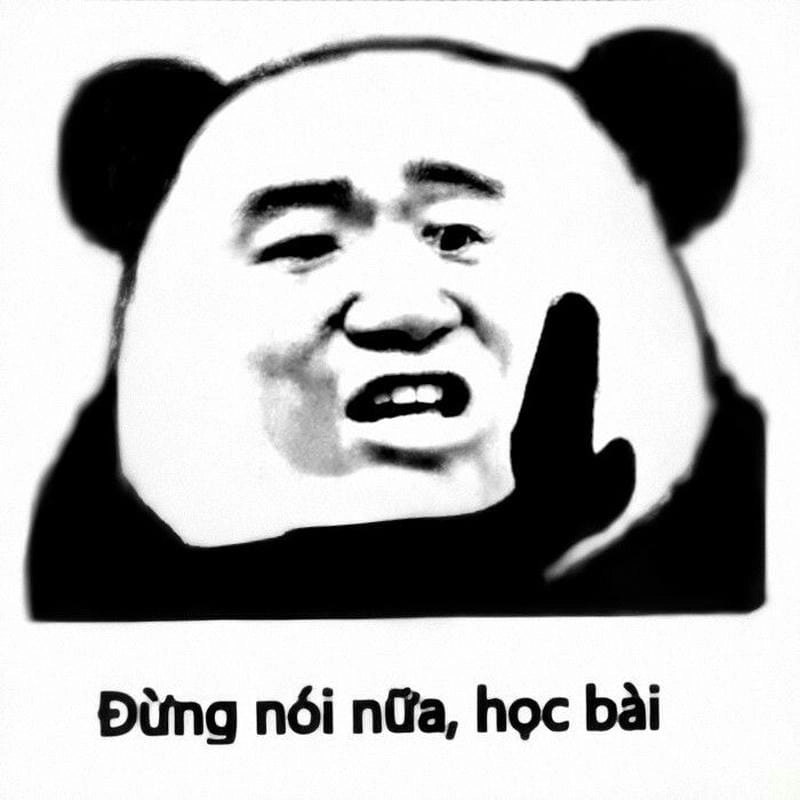 Lạc lối trong thế giới caption meme học bài