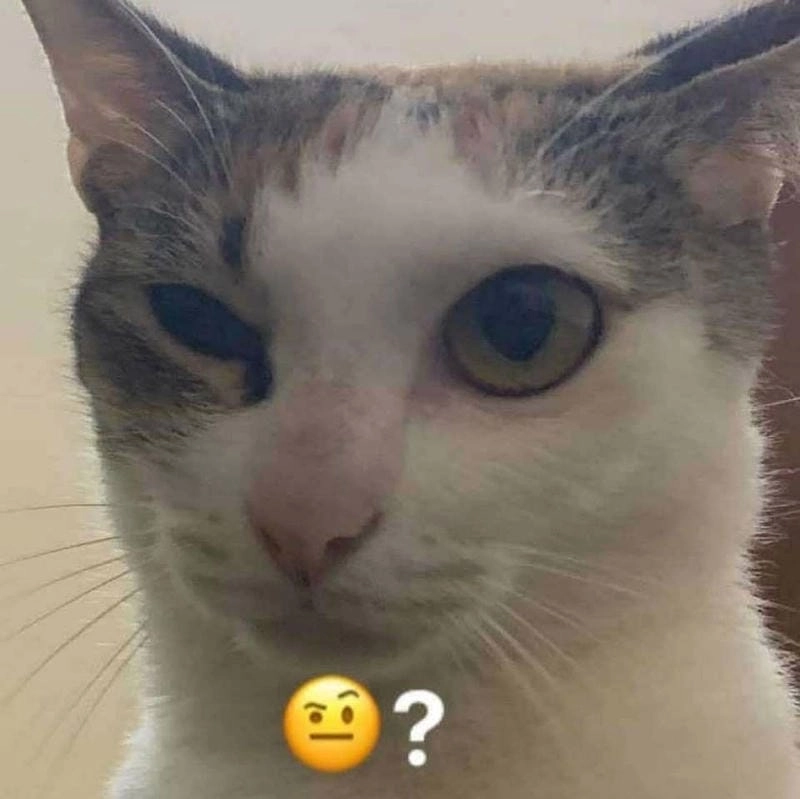 Khám phá những bức ảnh meme hỏi chấm hài hước